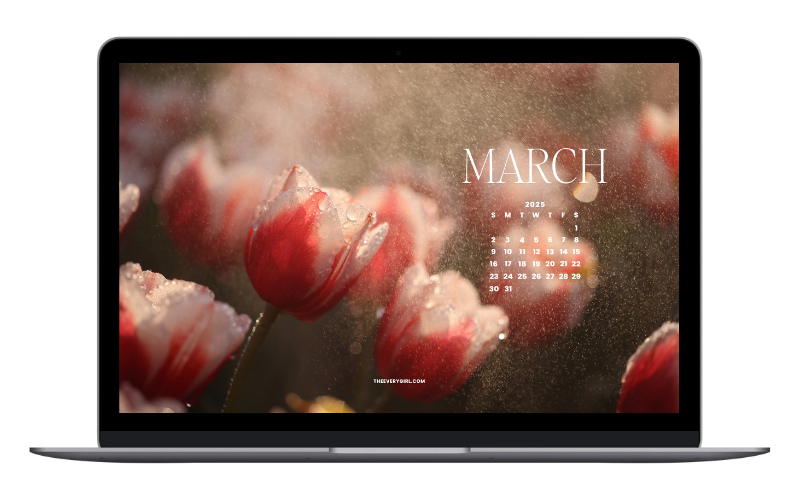 tech backgrounds march