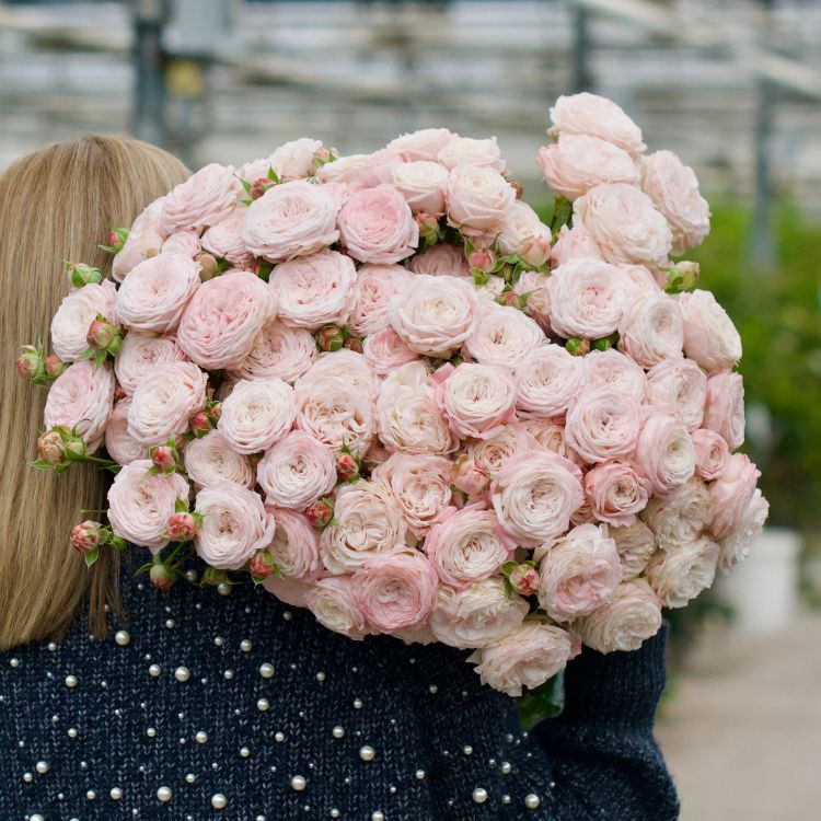 mother's day gift guide